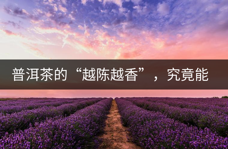 普洱茶的“越陳越香”，究竟能“陳”多久