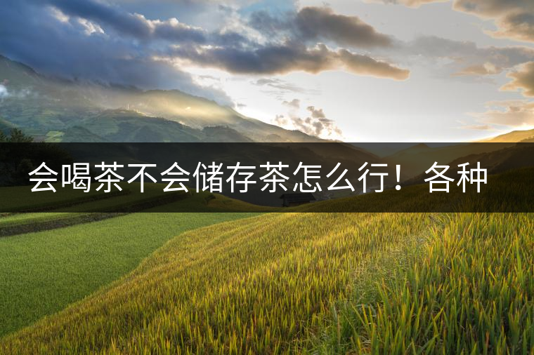 會喝茶不會儲存茶怎么行！各種存茶方法與技巧，把茶香留住