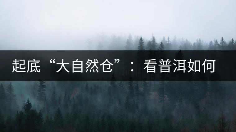 起底“大自然倉(cāng)”：看普洱如何塑造倉(cāng)儲(chǔ)新高地