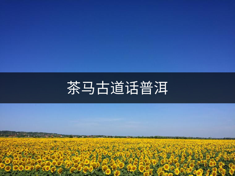 茶馬古道話普洱 茶馬古道話普洱