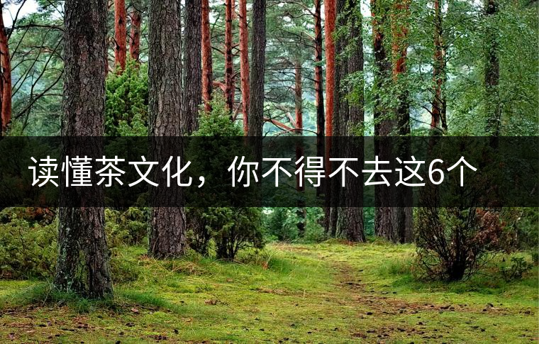 讀懂茶文化，你不得不去這6個城市