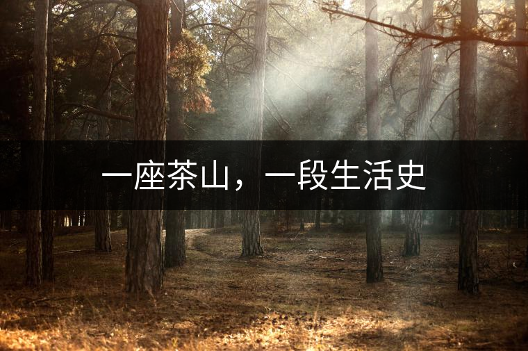 一座茶山，一段生活史