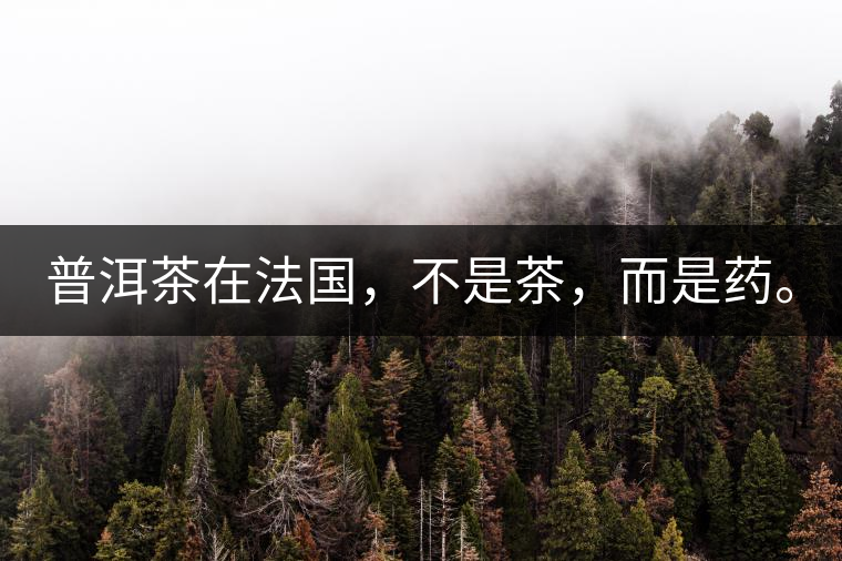 普洱茶在法國(guó)，不是茶，而是藥。