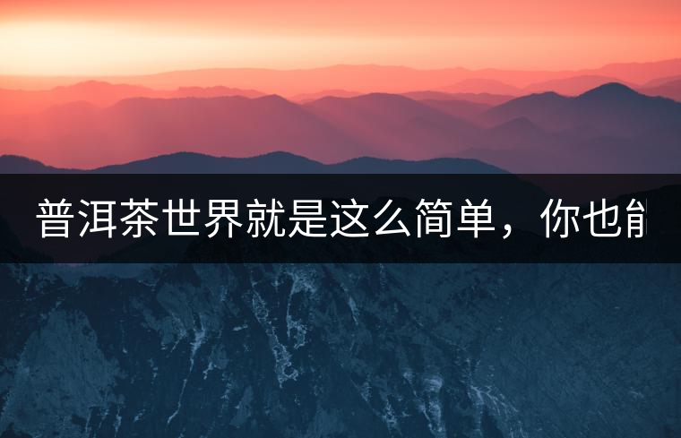 普洱茶世界就是這么簡單，你也能懂！