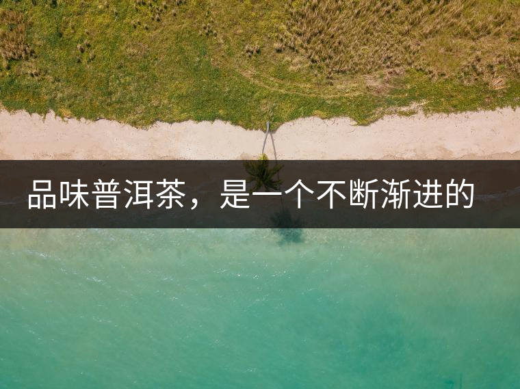 品味普洱茶，是一個不斷漸進的過程