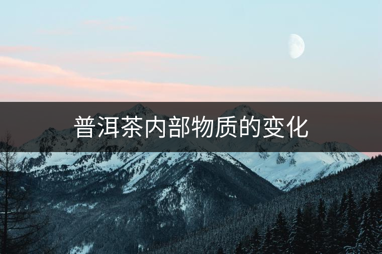 普洱茶內部物質的變化 普洱茶內部物質的變化