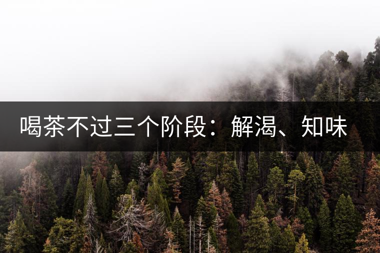 喝茶不過三個(gè)階段：解渴、知味、怡情