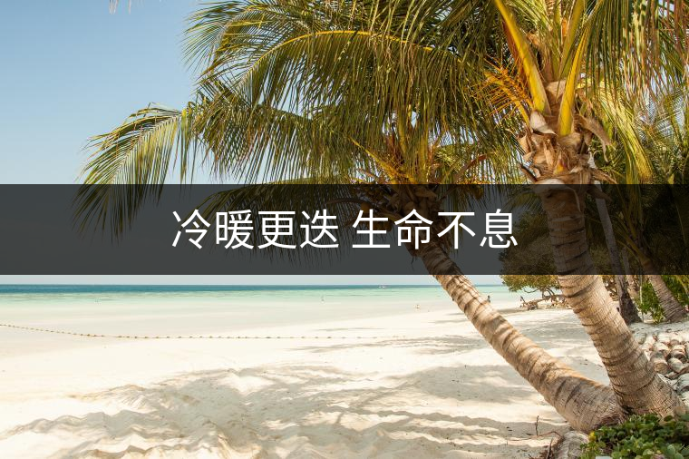 冷暖更迭 生命不息