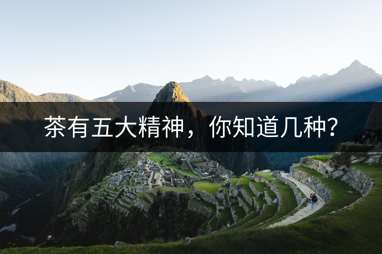 茶有五大精神，你知道幾種？