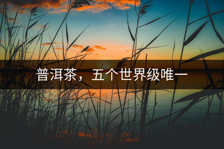 普洱茶，五個(gè)世界級(jí)唯一