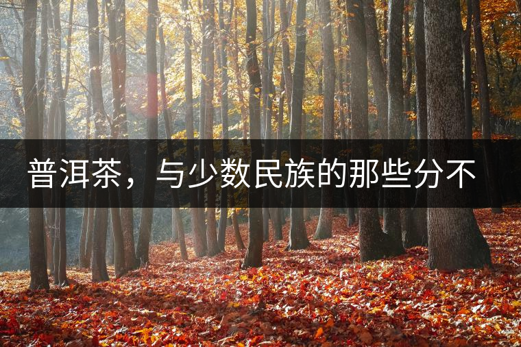 普洱茶，與少數(shù)民族的那些分不開的情愫