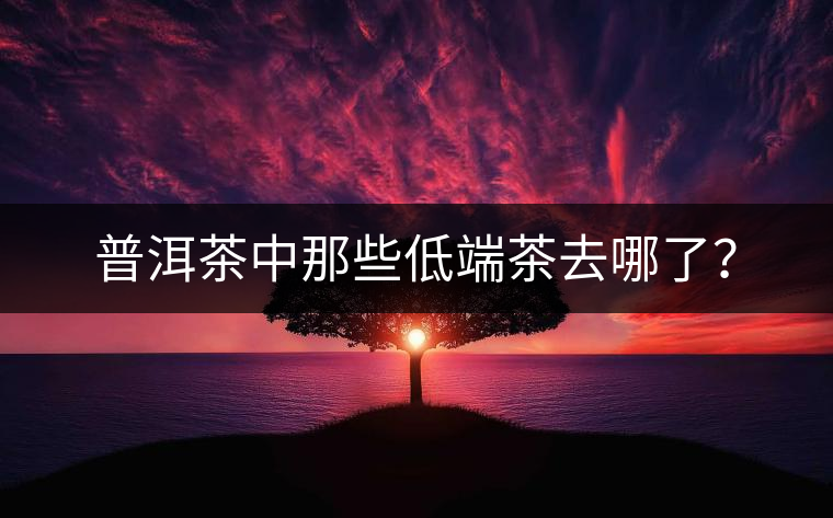 普洱茶中那些低端茶去哪了？