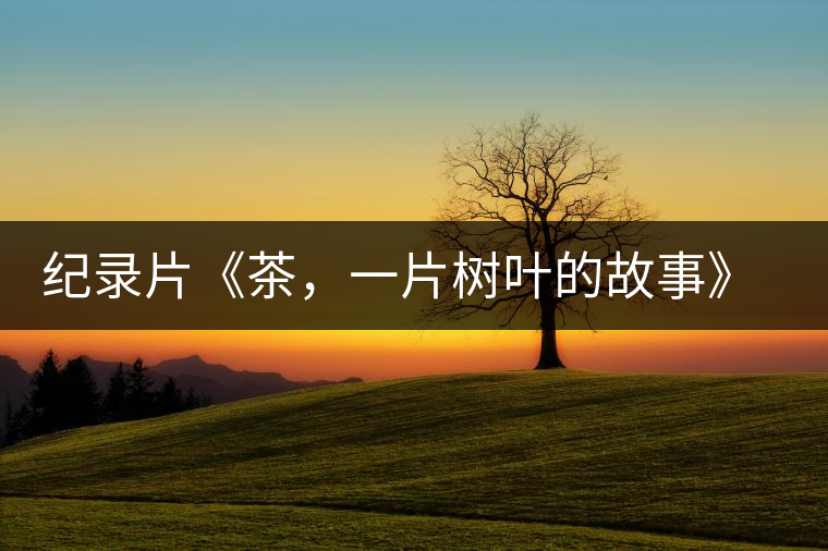 紀(jì)錄片《茶，一片樹葉的故事》 茶文化的詩意追尋
