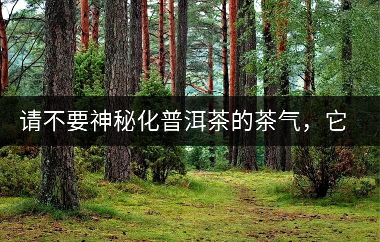 請(qǐng)不要神秘化普洱茶的茶氣，它是科學(xué)的存在