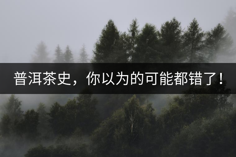 普洱茶史，你以為的可能都錯了！