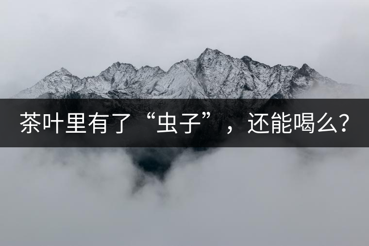 茶葉里有了“蟲子”，還能喝么？