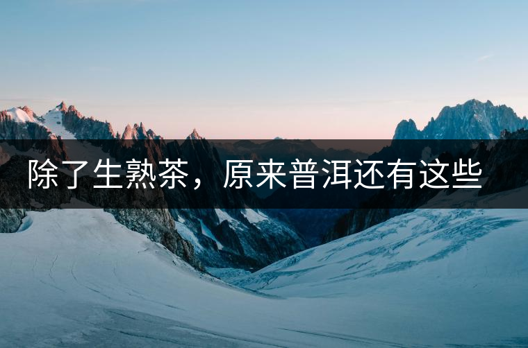 除了生熟茶，原來普洱還有這些鮮為人知的“寶貝”！