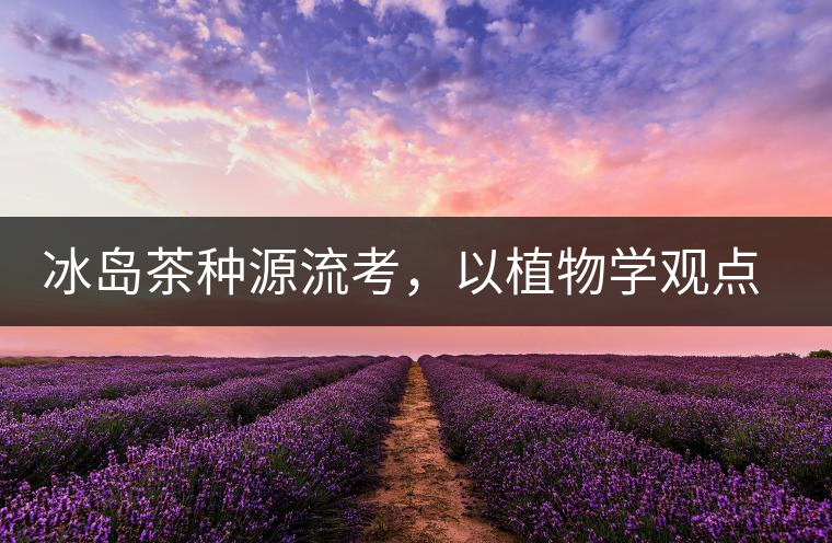 冰島茶種源流考，以植物學(xué)觀點(diǎn)解讀冰島茶