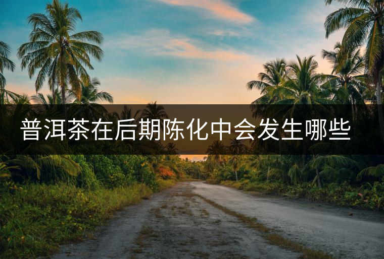 普洱茶在后期陳化中會(huì)發(fā)生哪些化學(xué)變化？