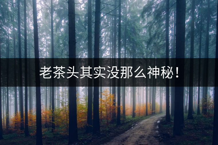 老茶頭其實沒那么神秘！