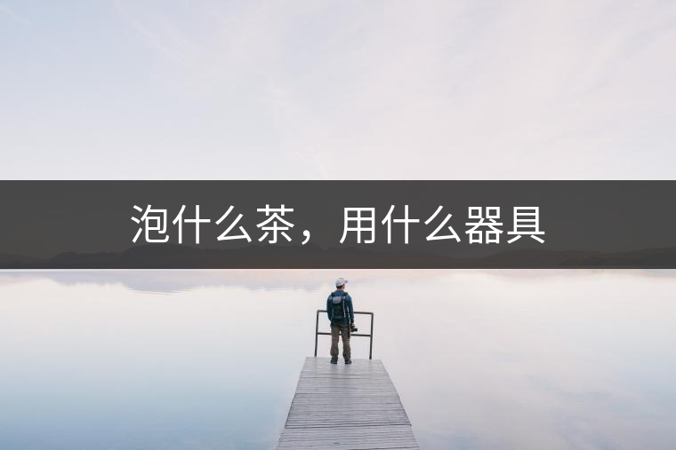 泡什么茶，用什么器具