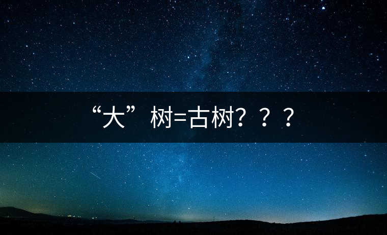 “大”樹=古樹？？？