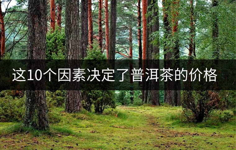 這10個(gè)因素決定了普洱茶的價(jià)格？
