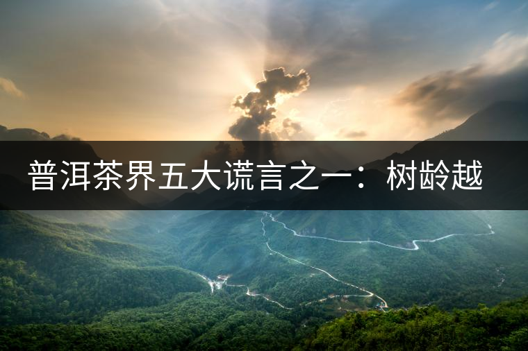 普洱茶界五大謊言之一：樹(shù)齡越高，品質(zhì)越好