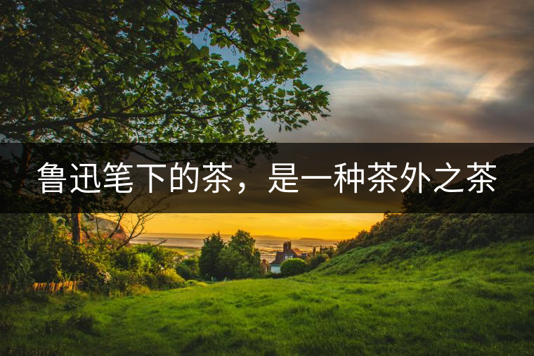 魯迅筆下的茶，是一種茶外之茶