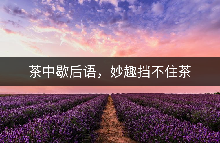 茶中歇后語(yǔ)，妙趣擋不住茶