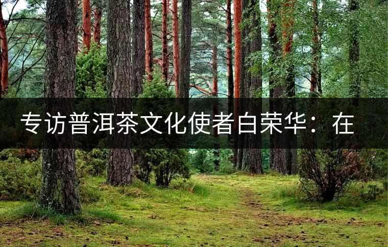 專(zhuān)訪普洱茶文化使者白榮華：在傳承中發(fā)揚(yáng)創(chuàng)新