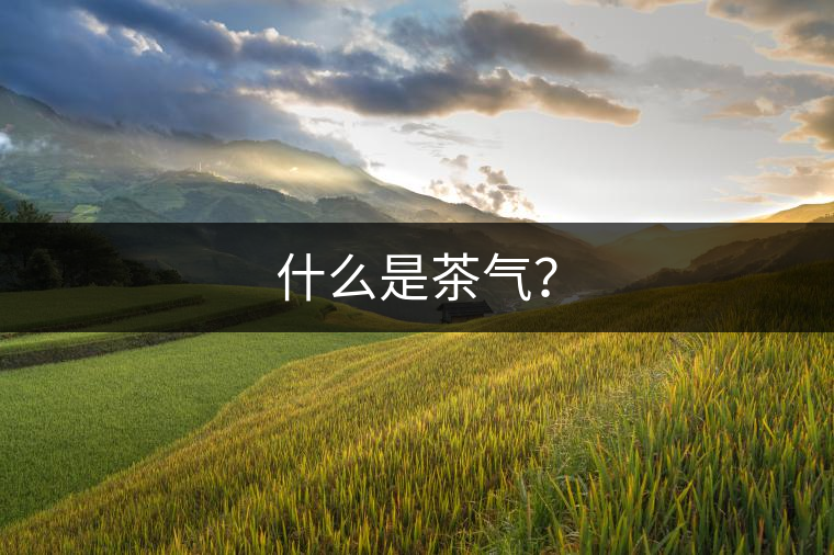 什么是茶氣？