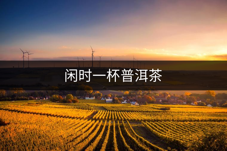 閑時一杯普洱茶 閑時一杯普洱茶