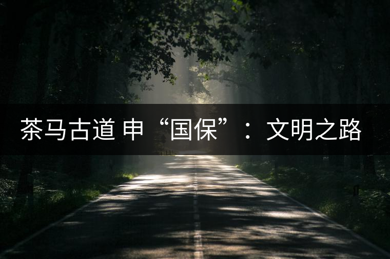 茶馬古道 申“國?！保何拿髦返脑侔l(fā)現(xiàn)