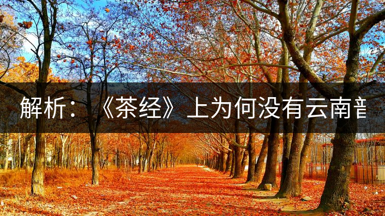解析：《茶經(jīng)》上為何沒(méi)有云南普洱茶 ？