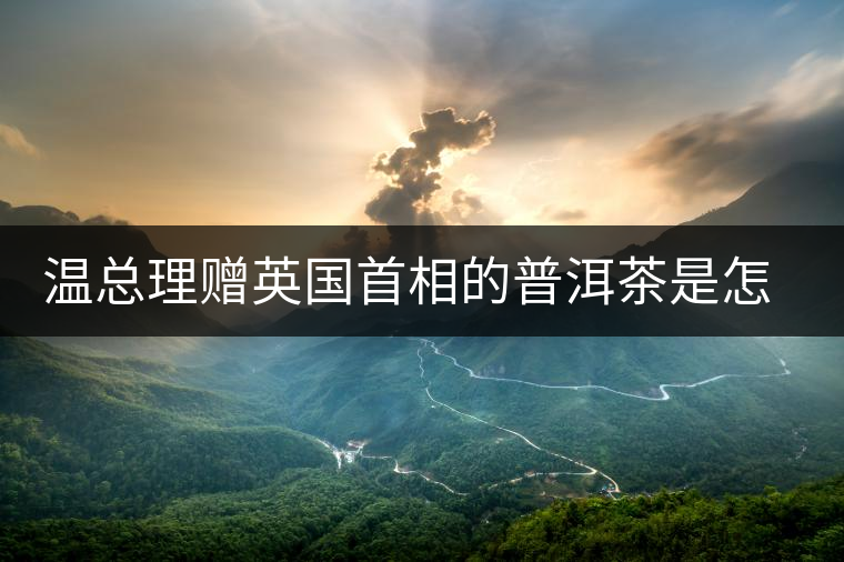 溫總理贈英國首相的普洱茶是怎么制作的？