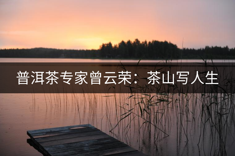 普洱茶專(zhuān)家曾云榮:茶山寫(xiě)人生 普洱茶專(zhuān)家曾云榮:茶山寫(xiě)人生