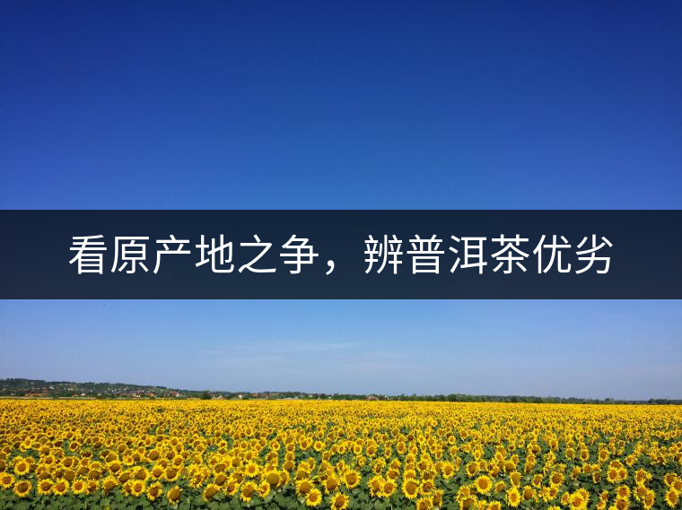 看原產(chǎn)地之爭(zhēng)，辨普洱茶優(yōu)劣