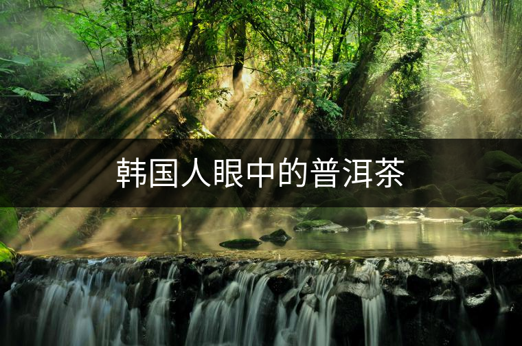 韓國人眼中的普洱茶 韓國人眼中的普洱茶