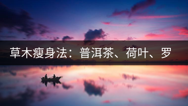 草木瘦身法：普洱茶、荷葉、羅漢果