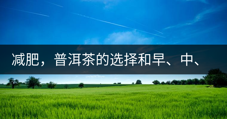 減肥，普洱茶的選擇和早、中、晚的喝法