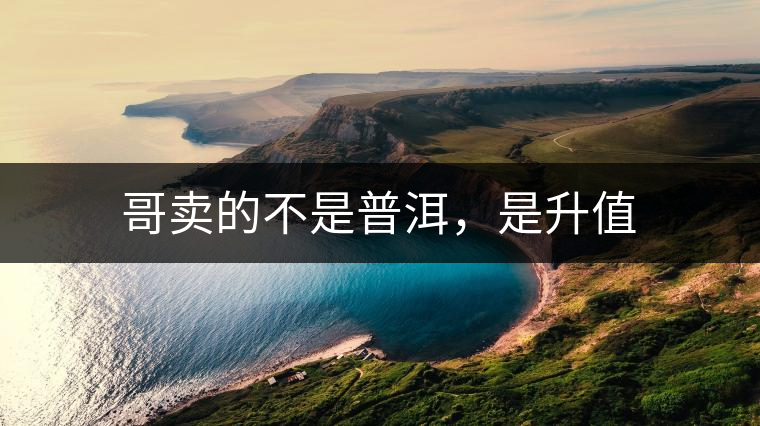 哥賣的不是普洱，是升值