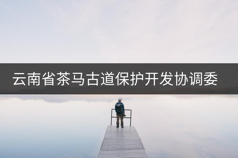 云南省茶馬古道保護(hù)開(kāi)發(fā)協(xié)調(diào)委員會(huì)成立 云南省茶馬古道保護(hù)開(kāi)發(fā)協(xié)調(diào)委員會(huì)成立