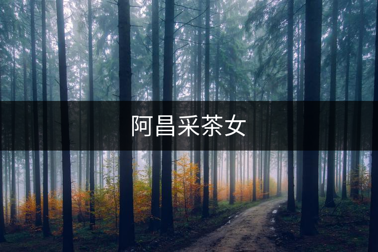 阿昌采茶女 阿昌采茶女