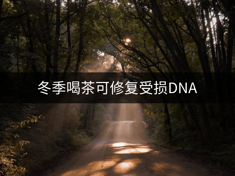 冬季喝茶可修復(fù)受損DNA 冬季喝茶可修復(fù)受損DNA