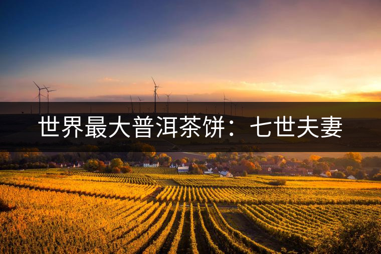 世界最大普洱茶餅：七世夫妻