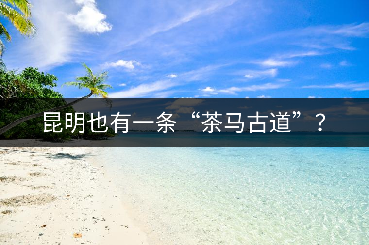 昆明也有一條“茶馬古道”？