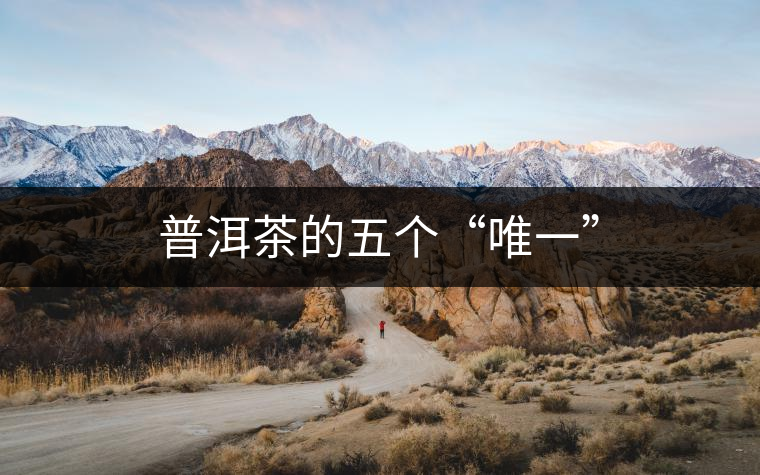 普洱茶的五個(gè)“唯一” 普洱茶的五個(gè)“唯一”
