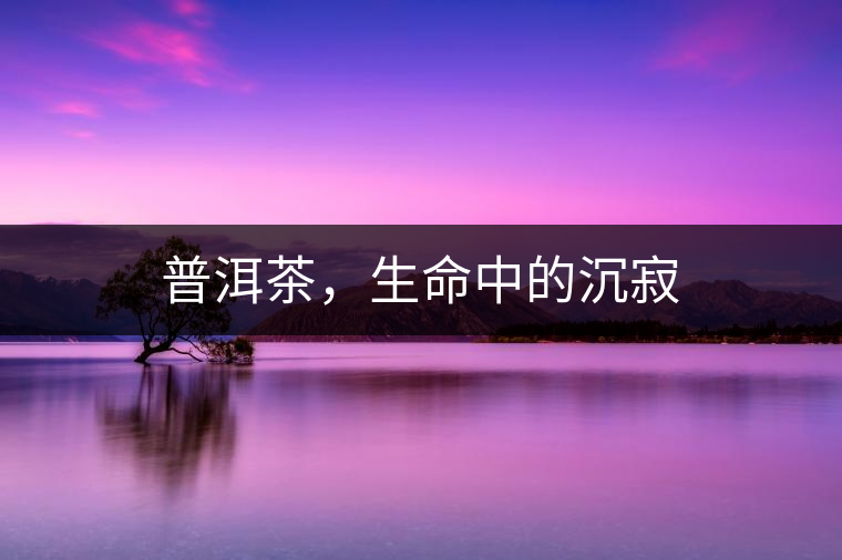 普洱茶，生命中的沉寂