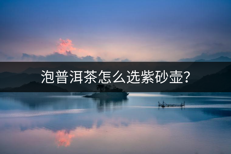 泡普洱茶怎么選紫砂壺？